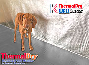 ThermalDry® Wall System