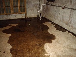 Wet Basement