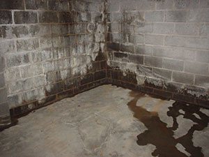 Basement Waterproofing in the Greater Boise Area, Pocatello, Idaho Falls, Boise